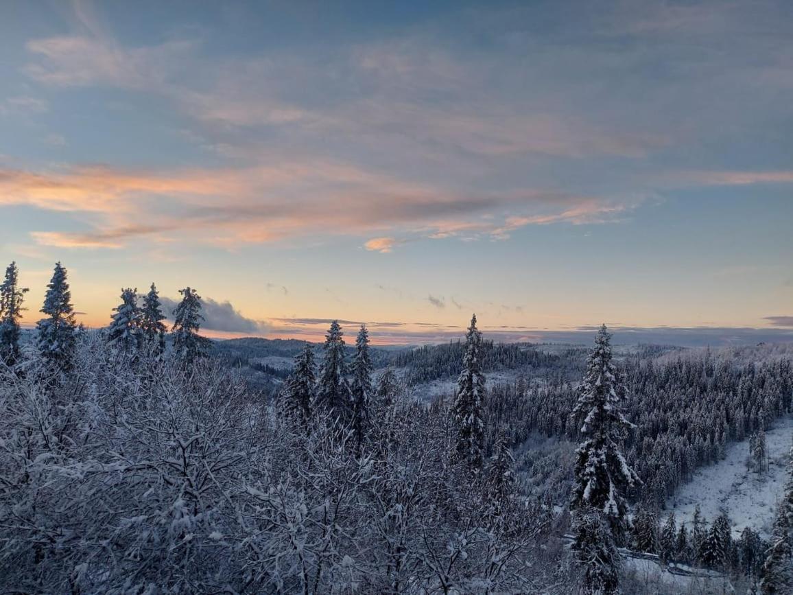Затишок Villa Tysovets Buitenkant foto